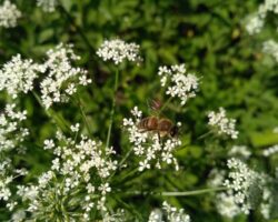 IMG_20170611_150237