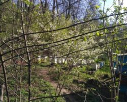 IMG_20180502_082045